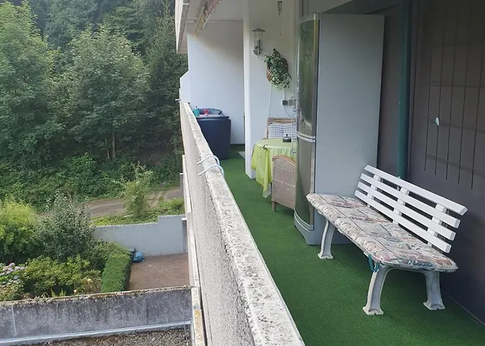 3 Kostenfreien Wlan 公寓 巴特哈尔茨堡